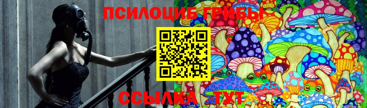 Псилоцибиновые грибы мицелий Тюмень